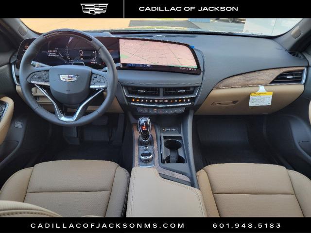 2025 Cadillac CT5 Vehicle Photo in RIDGELAND, MS 39157-4406