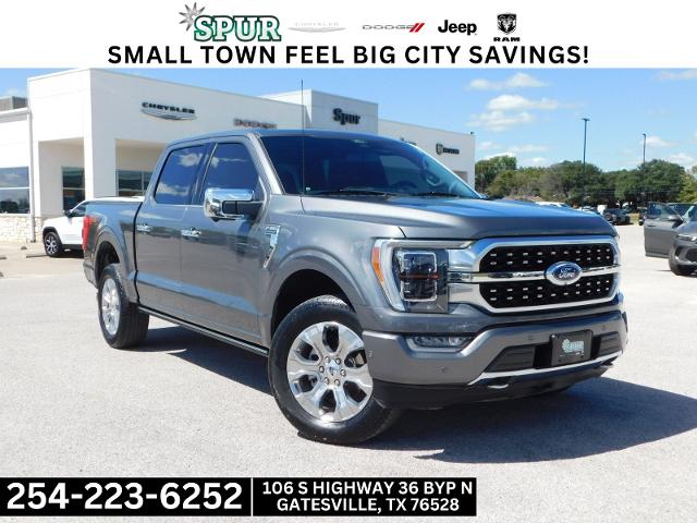 2022 Ford F-150 Vehicle Photo in Gatesville, TX 76528