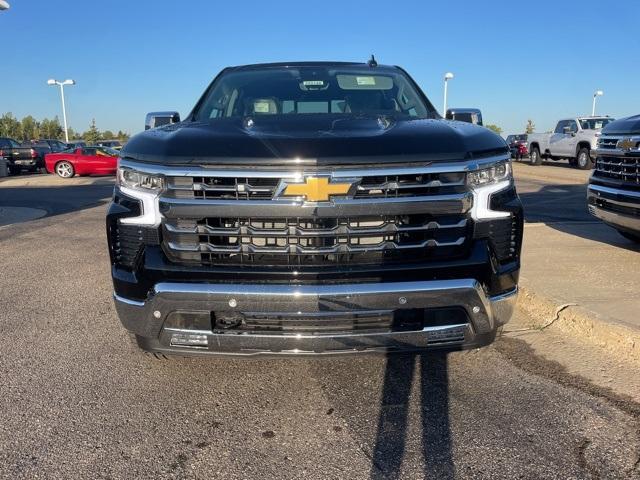 2025 Chevrolet Silverado 1500 Vehicle Photo in GLENWOOD, MN 56334-1123