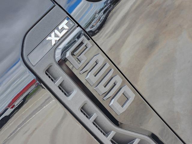 2024 Ford Super Duty F-250 SRW Vehicle Photo in STEPHENVILLE, TX 76401-3713