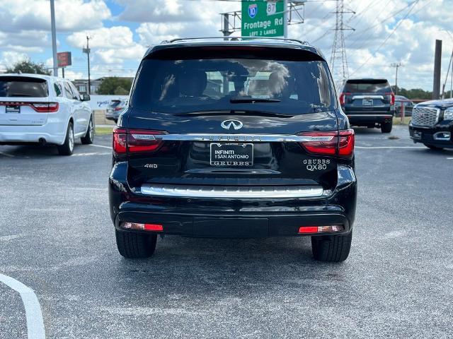 2024 INFINITI QX80 Vehicle Photo in San Antonio, TX 78230