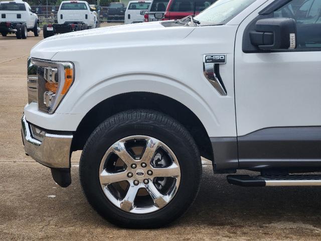 2023 Ford F-150 Vehicle Photo in Ennis, TX 75119-5114