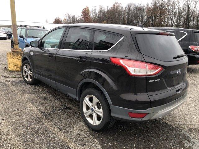 2013 Ford Escape Vehicle Photo in AKRON, OH 44320-4088