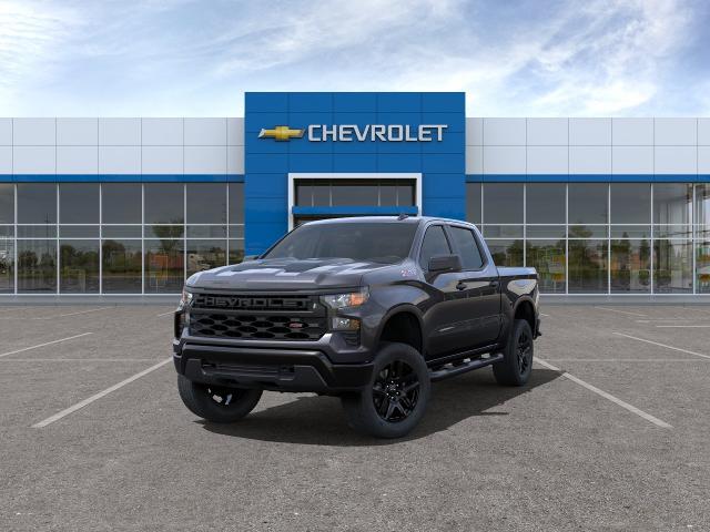 2024 Chevrolet Silverado 1500 Vehicle Photo in WACO, TX 76710-2592