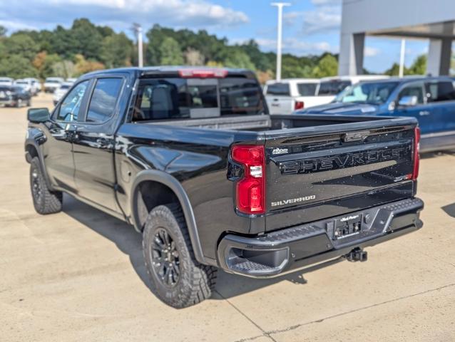 2024 Chevrolet Silverado 1500 Vehicle Photo in POMEROY, OH 45769-1023