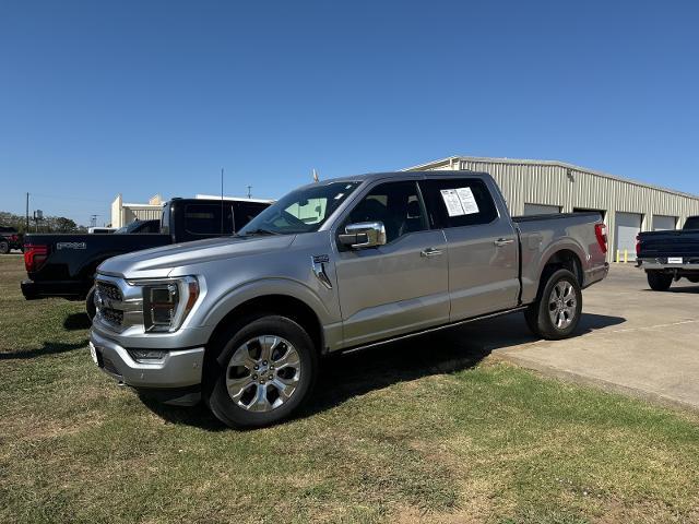 2022 Ford F-150 Vehicle Photo in Pilot Point, TX 76258