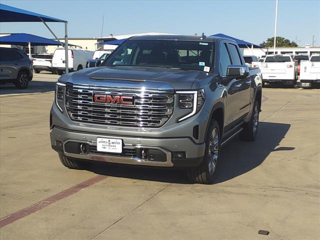 2025 GMC Sierra 1500 Vehicle Photo in Denton, TX 76205