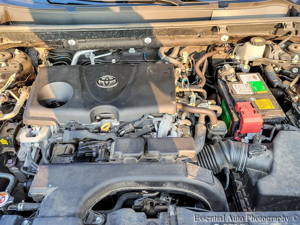 2019 Toyota RAV4 Vehicle Photo in AURORA, IL 60503-9326