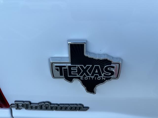 2024 Ford F-150 Vehicle Photo in Terrell, TX 75160