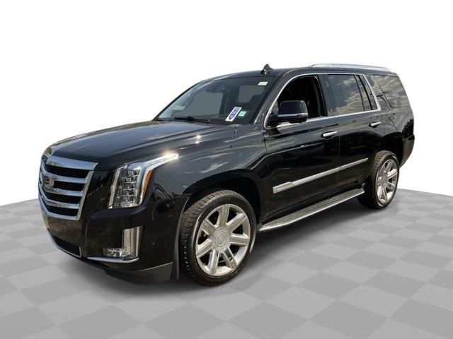 2020 Cadillac Escalade Vehicle Photo in WILLIAMSVILLE, NY 14221-4303