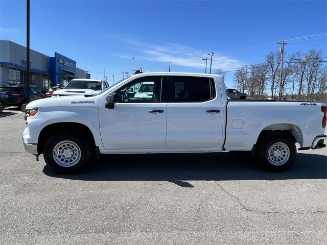 2024 Chevrolet Silverado 1500 Vehicle Photo in ALCOA, TN 37701-3235