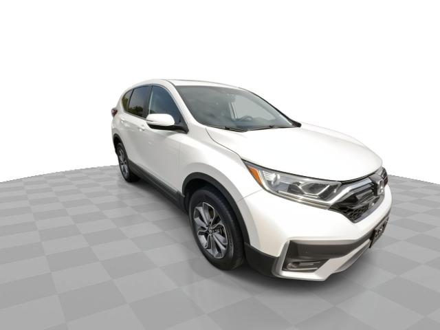 2022 Honda CR-V Vehicle Photo in WILLIAMSVILLE, NY 14221-4303