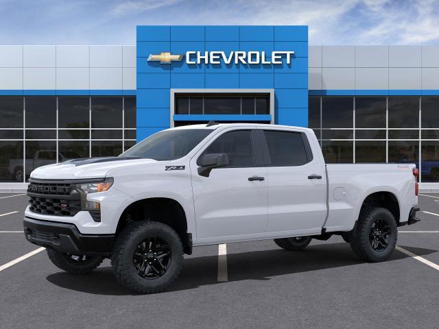 2025 Chevrolet Silverado 1500 Vehicle Photo in SAINT JAMES, NY 11780-3219