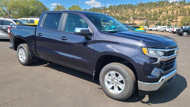 2024 Chevrolet Silverado 1500 Vehicle Photo in FLAGSTAFF, AZ 86001-6214