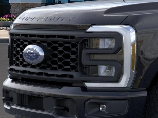 2024 Ford Super Duty F-250 SRW Vehicle Photo in Weatherford, TX 76087