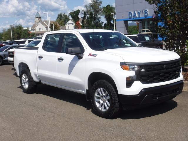 2024 Chevrolet Silverado 1500 Vehicle Photo in JASPER, GA 30143-8655