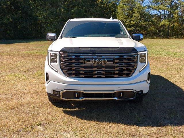 2025 GMC Sierra 1500 Vehicle Photo in ALBERTVILLE, AL 35950-0246