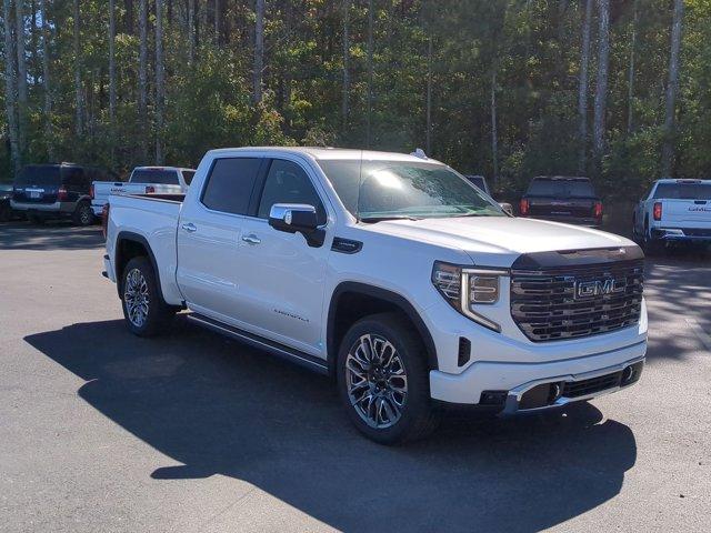 2025 GMC Sierra 1500 Vehicle Photo in ALBERTVILLE, AL 35950-0246