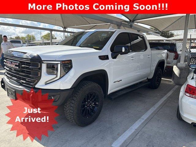 2023 GMC Sierra 1500 Vehicle Photo in SELMA, TX 78154-1459