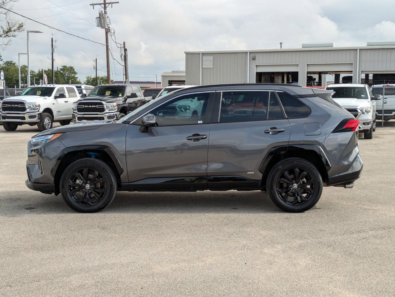 2022 Toyota RAV4 Vehicle Photo in Seguin, TX 78155