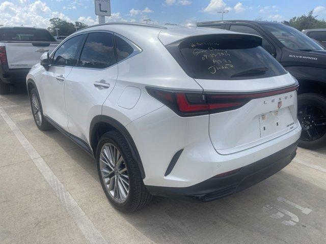 2023 Lexus NX Vehicle Photo in SELMA, TX 78154-1460