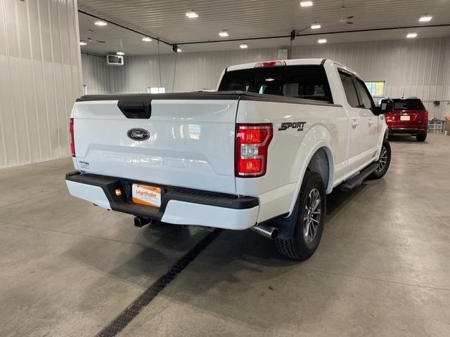 2020 Ford F-150 Vehicle Photo in GLENWOOD, MN 56334-1123