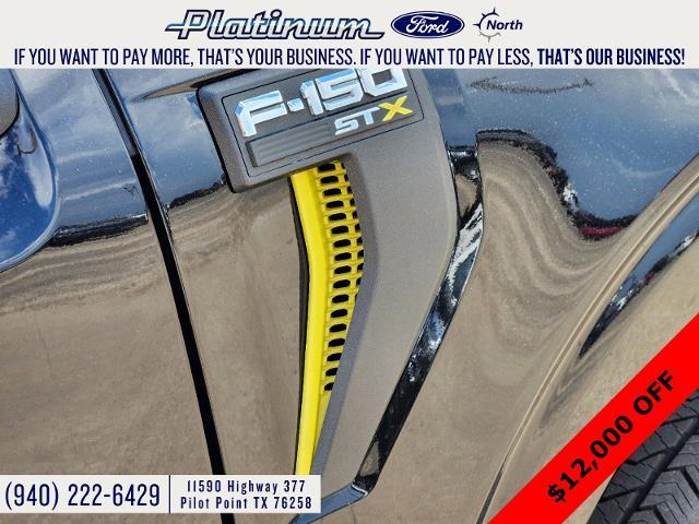 2024 Ford F-150 Vehicle Photo in Pilot Point, TX 76258