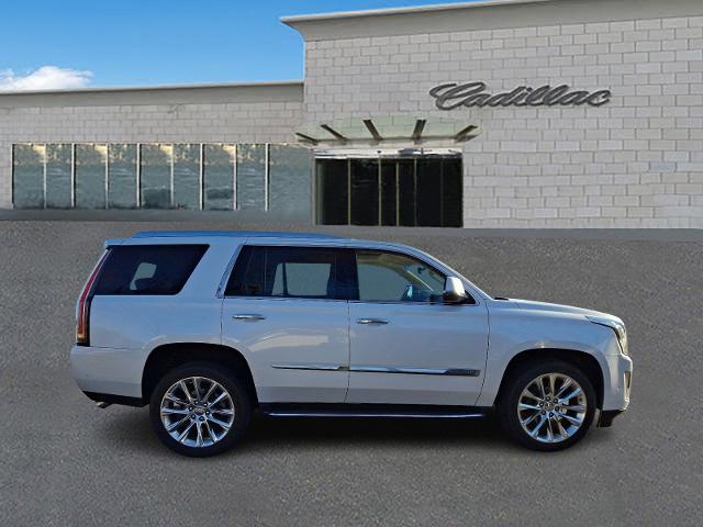 2017 Cadillac Escalade Vehicle Photo in TREVOSE, PA 19053-4984