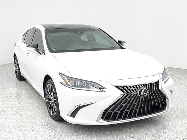 2023 Lexus ES 350 Vehicle Photo in Grapevine, TX 76051