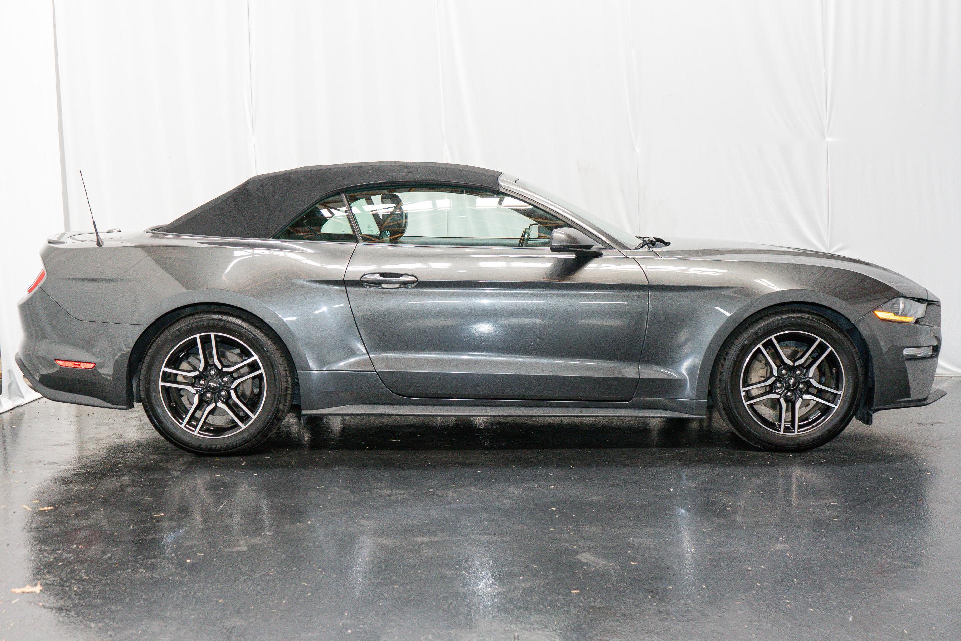 2019 Ford Mustang Vehicle Photo in SMYRNA, DE 19977-2874