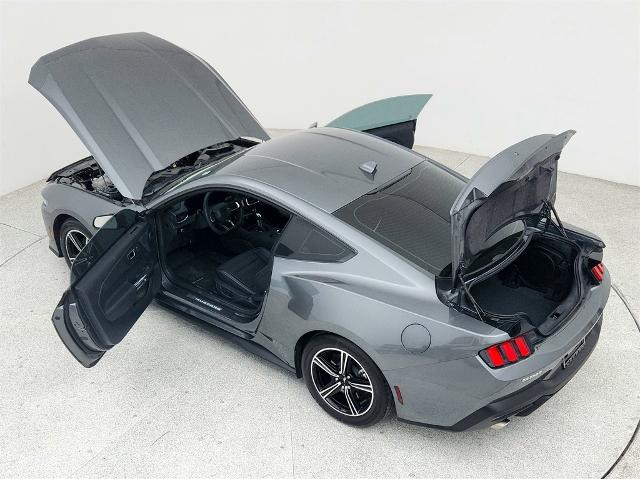 2024 Ford Mustang Vehicle Photo in Grapevine, TX 76051