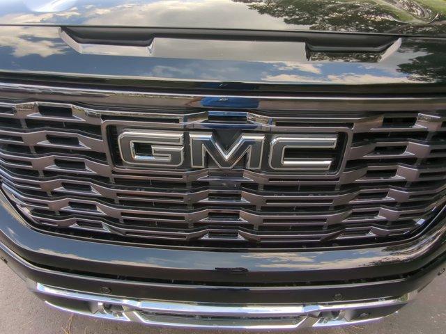 2025 GMC Sierra 1500 Vehicle Photo in ALBERTVILLE, AL 35950-0246