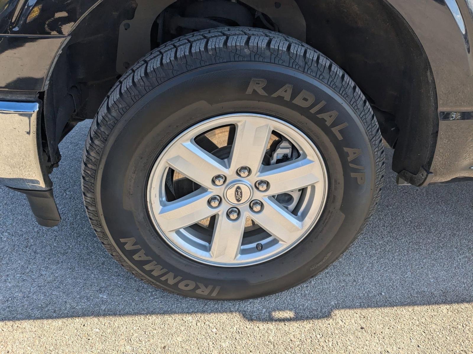 2023 Ford F-150 Vehicle Photo in Seguin, TX 78155