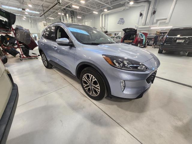 2022 Ford Escape Vehicle Photo in MADISON, WI 53713-3220