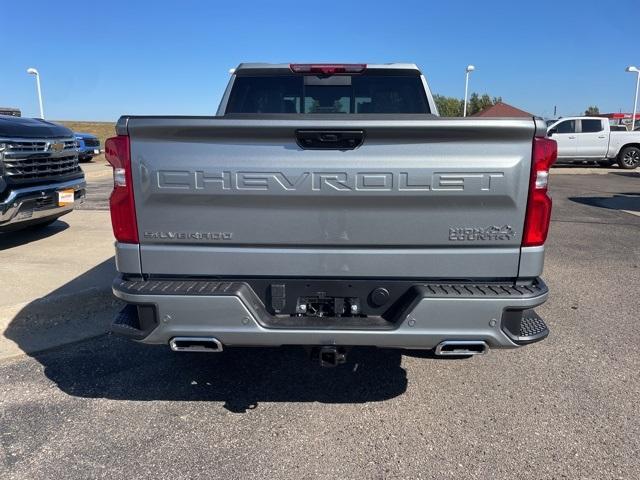 2025 Chevrolet Silverado 1500 Vehicle Photo in GLENWOOD, MN 56334-1123