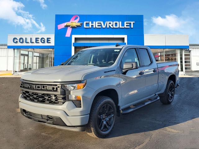 2024 Chevrolet Silverado 1500 Vehicle Photo in ALBION, MI 49224-1009