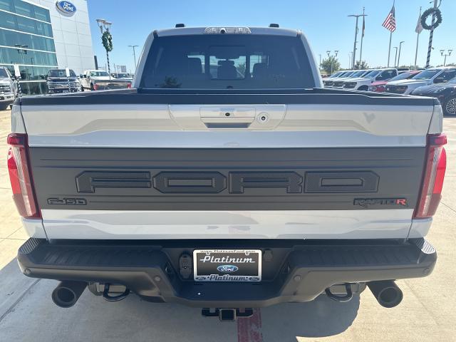 2024 Ford F-150 Vehicle Photo in Terrell, TX 75160