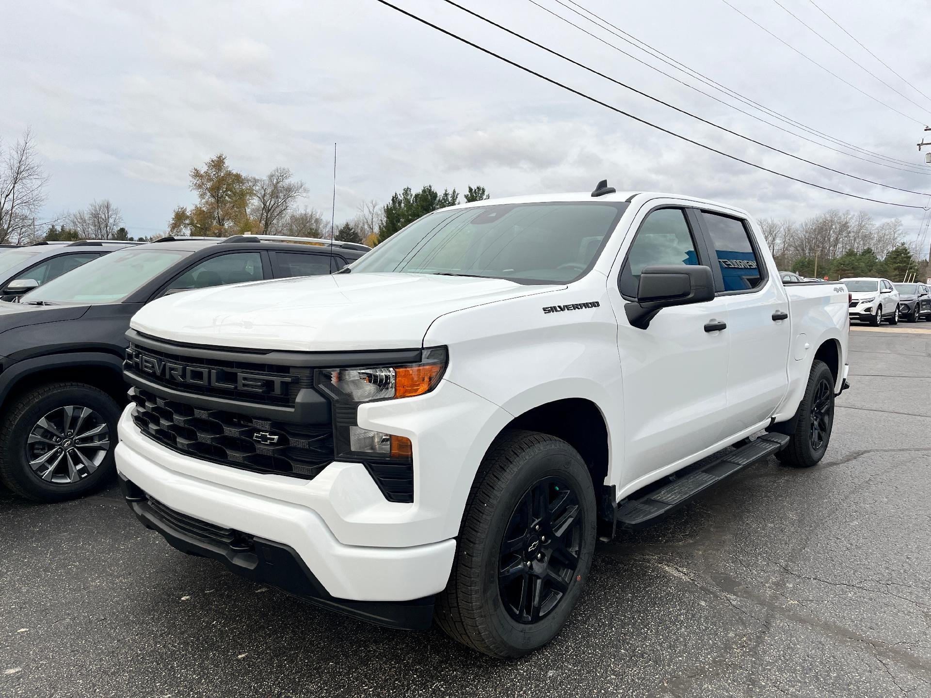 2024 Chevrolet Silverado 1500 Vehicle Photo in CLARE, MI 48617-9414