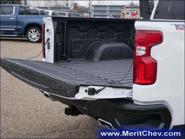 2024 Chevrolet Silverado 1500 Vehicle Photo in MAPLEWOOD, MN 55119-4794