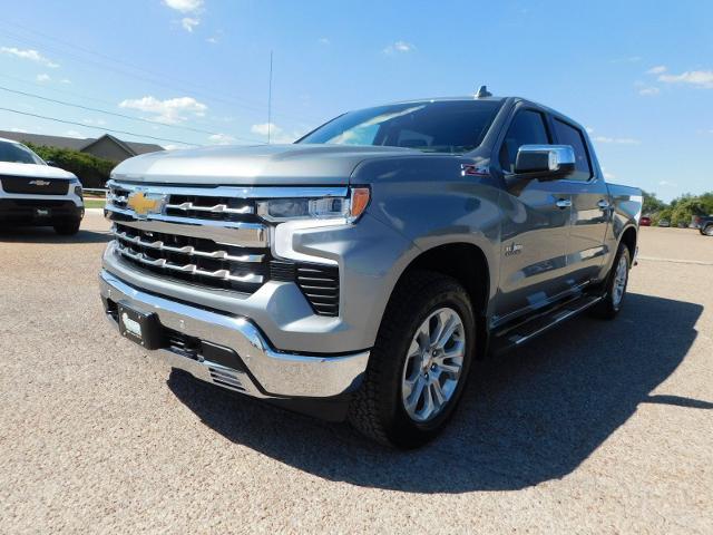 2025 Chevrolet Silverado 1500 Vehicle Photo in GATESVILLE, TX 76528-2745