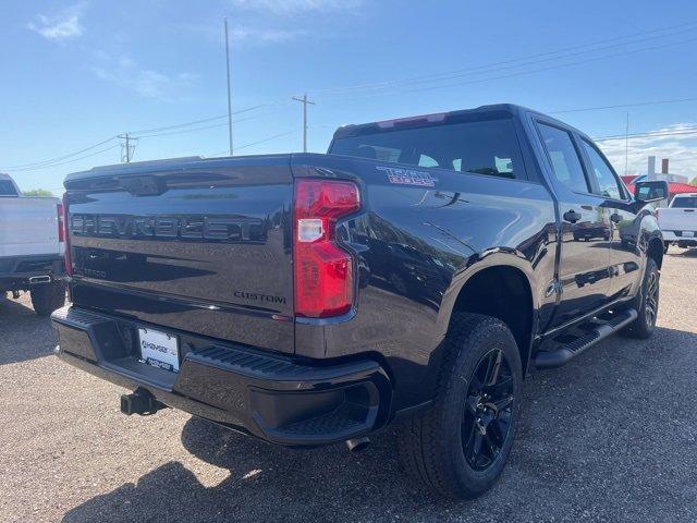 2024 Chevrolet Silverado 1500 Vehicle Photo in SAUK CITY, WI 53583-1301