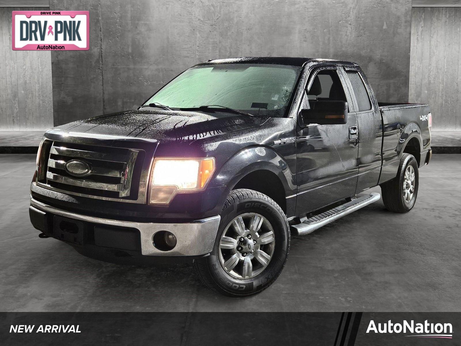 2010 Ford F-150 Vehicle Photo in Jacksonville, FL 32256