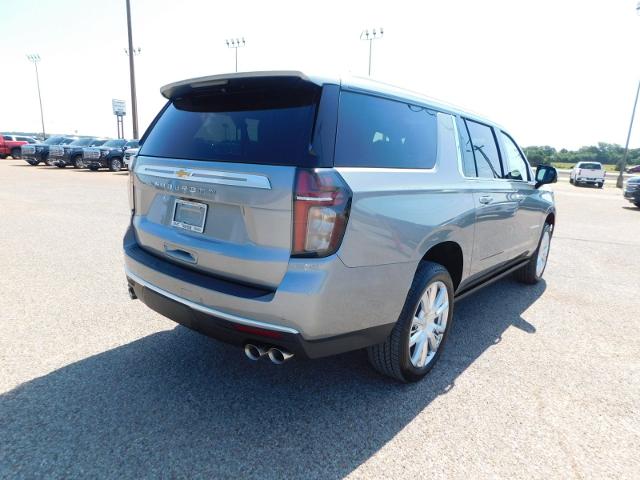 2024 Chevrolet Suburban Vehicle Photo in GATESVILLE, TX 76528-2745