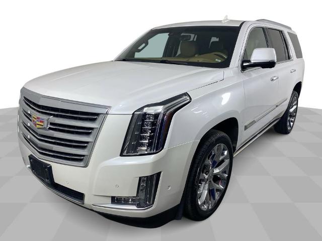 2017 Cadillac Escalade Vehicle Photo in ALLIANCE, OH 44601-4622