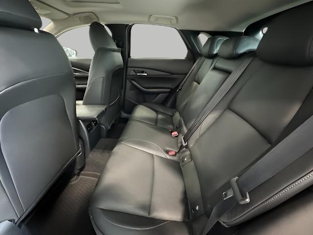 2024 Mazda CX-30 Vehicle Photo in Green Bay, WI 54304