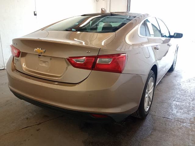 2018 Chevrolet Malibu Vehicle Photo in RED SPRINGS, NC 28377-1640