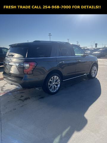 2019 Ford Expedition Vehicle Photo in Stephenville, TX 76401-3713