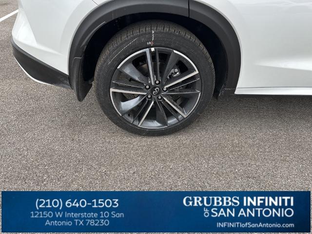 2024 INFINITI QX50 Vehicle Photo in San Antonio, TX 78230