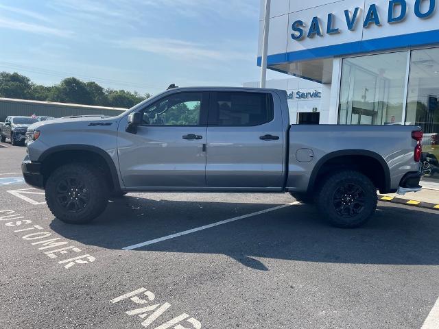 2024 Chevrolet Silverado 1500 Vehicle Photo in GARDNER, MA 01440-3110