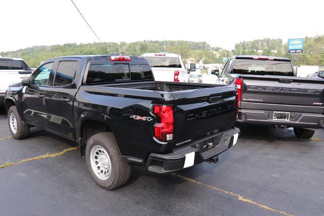 2024 Chevrolet Colorado Vehicle Photo in MONTICELLO, NY 12701-3853